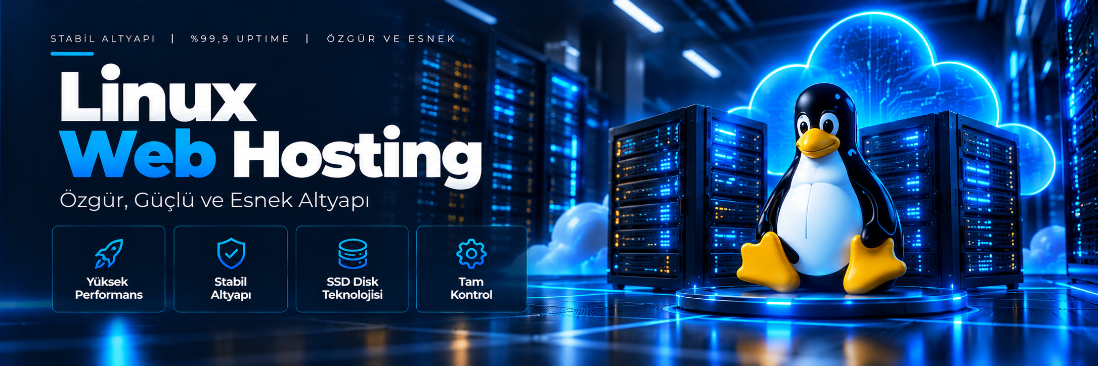 Linux Web Hosting